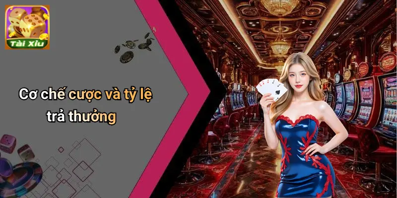 Trò Chơi Tài Xỉu: Luật Chơi, Xác Suất, Chiến Lược Thực Chiến 2 Trò Chơi Tài Xỉu