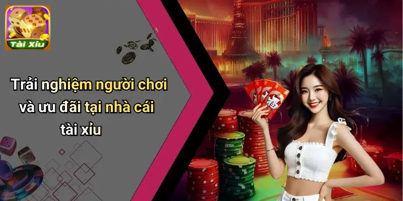 Nhà cái tài xỉu 3 Nhà Cái Tài Xỉu