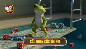 cầu nhảy cóc tài xỉu