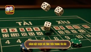 cách đặt cược và tính tiền trong tài xỉu
