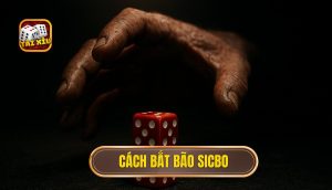 cách bắt bão sicbo