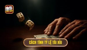 cách tính tỷ lệ tài xỉu