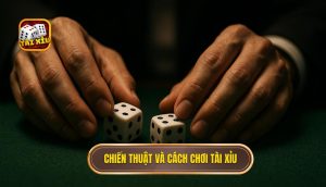 chiến thuật và cách chơi tài xỉu