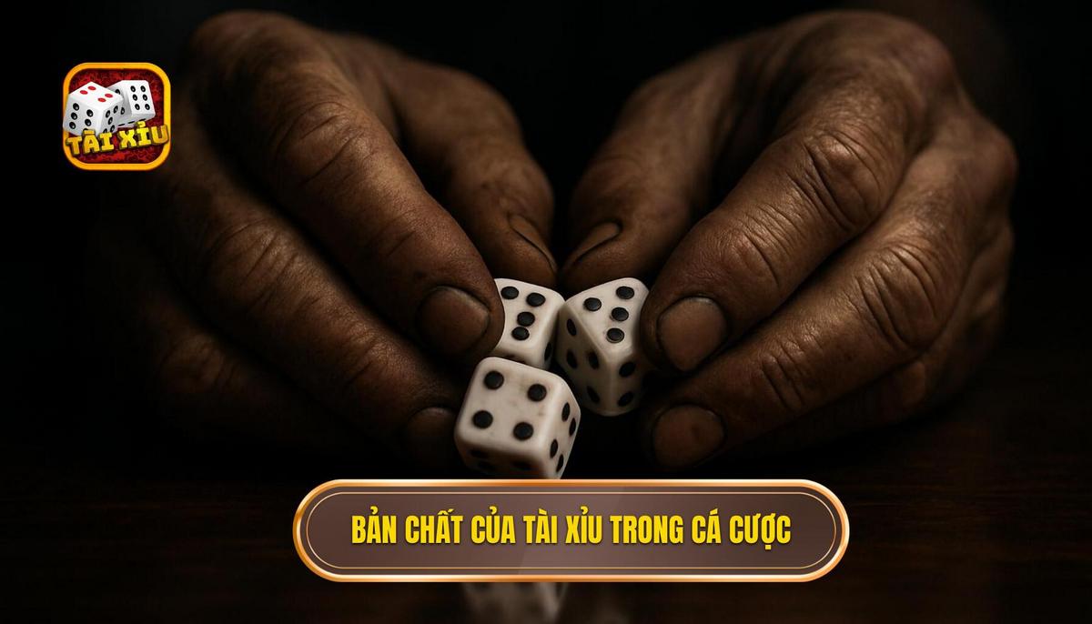 Bản chất cốt lõi của tài xỉu hòa trong hệ thống cá cược