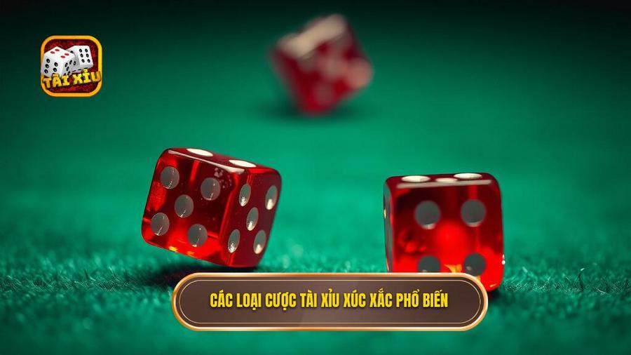 Các loại hình đặt cược phổ biến trong tài xỉu 3 viên xúc xắc