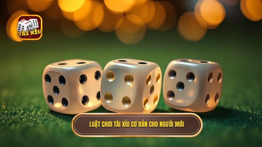 Luật chơi Tài xỉu cơ bản cho người mới